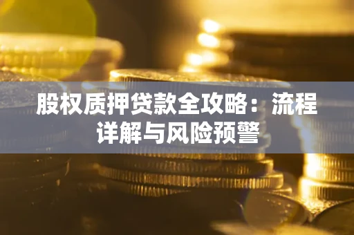 北京股权质押贷款全攻略：流程详解与风险预警