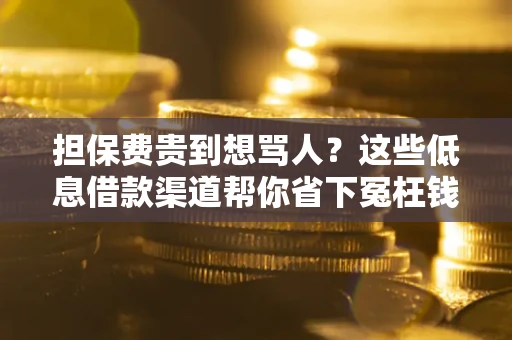 北京担保费贵到想骂人？这些低息借款渠道帮你省下冤枉钱