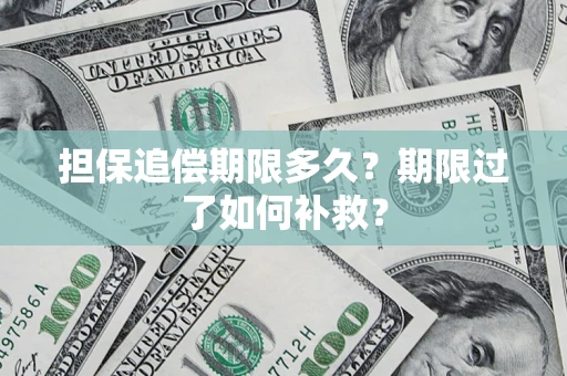 北京担保追偿期限多久？期限过了如何补救？
