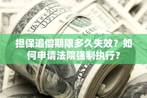 北京担保追偿期限多久失效？如何申请法院强制执行？