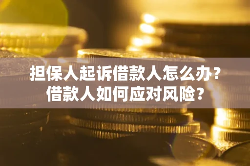 北京担保人起诉借款人怎么办？借款人如何应对风险？