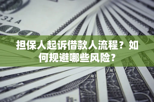 北京担保人起诉借款人流程？如何规避哪些风险？