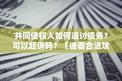 北京共同债权人如何追讨债务？可以起诉吗？（速看合法攻略）